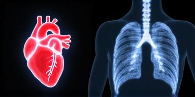 Thread Cover Image