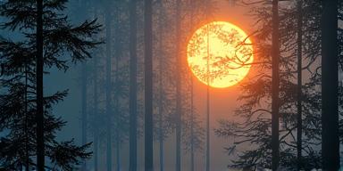 Thread Cover Image