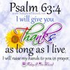 05fad254dbd576977872da2d93299833.jpg