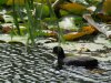 IMG_0052.JPG