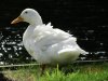IMG_0060.JPG