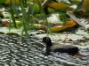 against the tide2.jpg