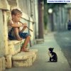 Adorable concert for one — Boy plays music for a kitten on the street.jpg