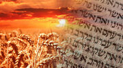 MJBI-Shavuot-Feast-Blog.jpg