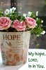 quote doubt faith psalm My hope Lord God is in you flower pot.jpg