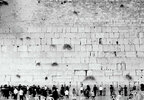 orthodox-jews-praying-to-the-western-wall-mariano-pardini.jpg