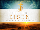 Celebrate The Savior