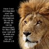 lion of judah.jpg