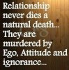 relationship never die but.jpg