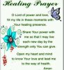 quote prayer healing butterflies o Lord God open color.jpg