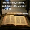 Psalm 118_17 I shall not die, but live, and declare the works of the ___.jpg