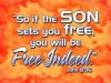 if_the_Son_sets_you_free_John_8-36_114151346_std.jpg