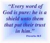 Proverbs 30_5 _ Books (and other things) Worth Reading _ Pinterest.jpg