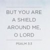 quote prayer psalm protection but you are a shield around me o Lord God.jpg