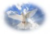 dove%20circle%20frame - Copy - Copy.jpg