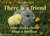 Jesus who is my True Friend sticks closer than a brother_ _ Prov 18_24.jpg