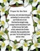 quote prayer for the sick heal positive white praise flowers.jpg