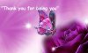 3d-butterfly-wallpaper-for-desktop-unique-nature-hd-wallpapers - Copy - Copy.jpg