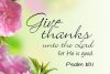 quote prayer psalm give thanks unto the Lord God for He is Good pink flower romantic.jpg