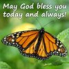 quote prayer may God bless you today and always butterfly orange green nature picture color.jpg