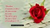 In Christ Jesus we bcome new creation.jpg