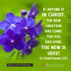 In Jesus Christ we are new creation.jpg