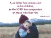 Jesus Christ comforts us as Father's compassion on us.jpg Jesus Christ comforts us as Father's compassion on us.jpg