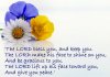 quote prayer the Lord bless you and keep you flowers white .jpg