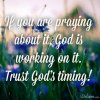FB_IMG_1462615598002.jpg