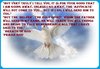 dove%20circle%20frame - Copy.jpg