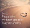 quote prayer doubt fear anxiety call God Lord please calm my heart patient wait trust .jpg