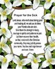 quote prayer for the sick heal positive white praise flowers.jpg