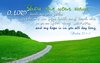 quote prayer psalm decision hope faith show me your ways Lord God teach me your paths christia...jpg