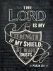 quote prayer Ayo psalm the Lord is my shield picture black.jpg