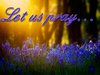 quote prayer let us pray for others together flowers color romantic blue.jpg