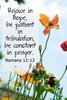 quote prayer persevere rejoice in hope patience wait in tribulation hope faith trust future co...jpg