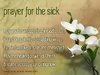 quote prayer healing prayer for the sick power flower color.jpg