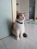 IMG20180908102707.jpg