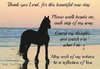 quote prayer horse blessing of day sea color.jpg