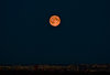 MOON orange.jpg