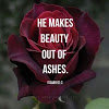 ROSE God raises beauty from ashes.jpg