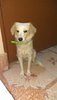 IMG-20190201-WA0015.jpeg