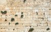 western wall.jpg