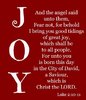 quote prayer Christmas Joy classical red .jpg