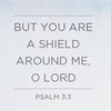 quote prayer psalm protection but you are a shield around me o Lord God.jpg