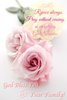 quote prayer Rejoice always give thanks flowers pink roses romantic .jpg