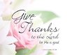 quote prayer psalm give thanks to the Lord God for He is good pink rose romantic .jpg