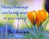 quote prayer many blessings God bless you flower .jpg