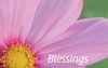 quote prayer blessings pink flower .jpg