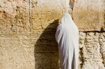 Ortho Rabbi pray.jpg Ortho Rabbi pray.jpg